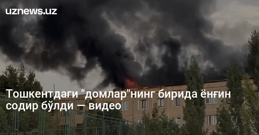 Тошкентдаги "домлар"нинг бирида ёнғин содир бўлди — видео