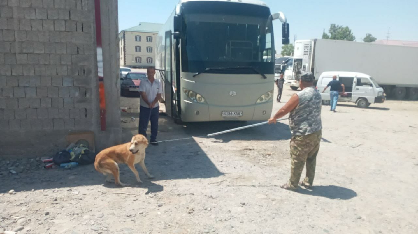 "Итларнинг эгаси аниқланган тақдирда унга нисбатан қонуний тартибда чора кўрилади"