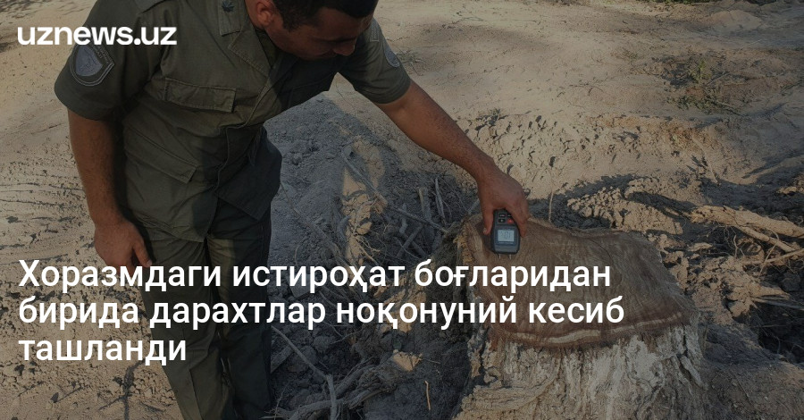 Хоразмдаги истироҳат боғларидан бирида дарахтлар ноқонуний кесиб ташланди