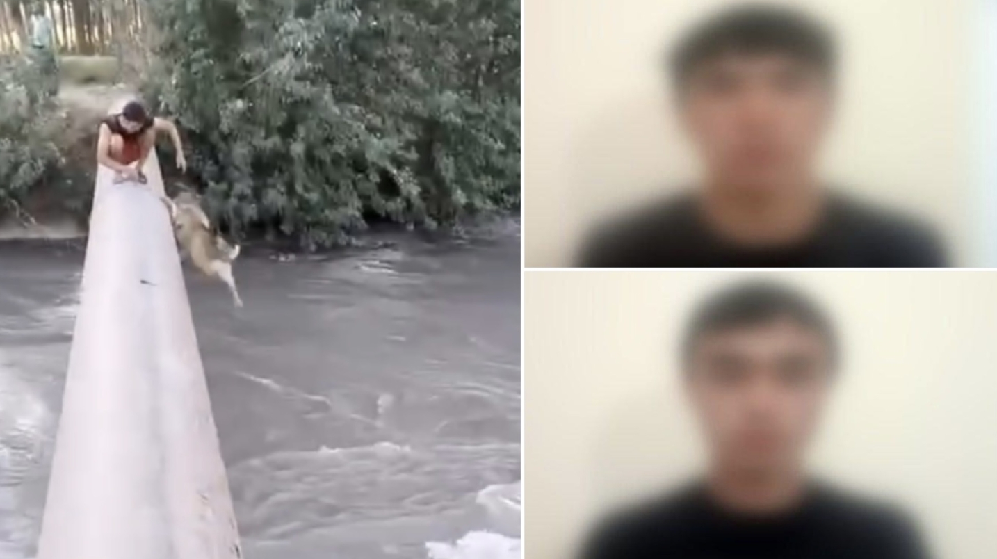 Самарқандда итни тез оқар каналга ташлаб юборган йигитларга чора кўрилди