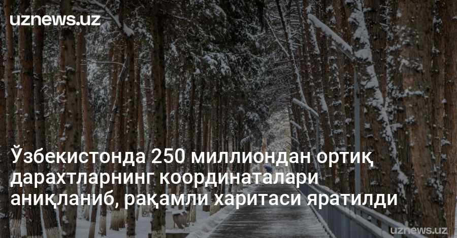 Ўзбекистонда 250 миллиондан ортиқ дарахтларнинг координаталари аниқланиб, рақамли харитаси яратилди