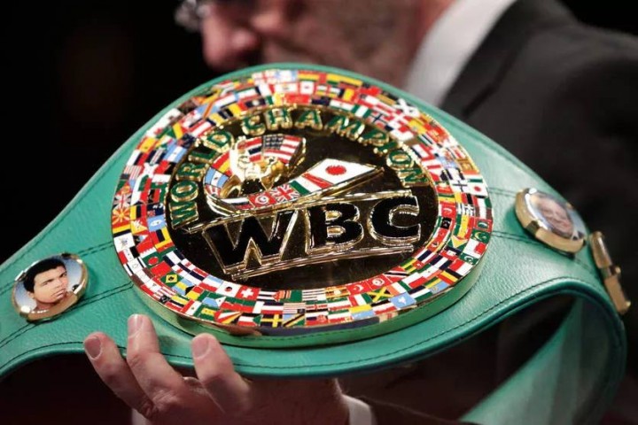 WBC июнь ойи учун янгиланган рейтингни эълон қилди