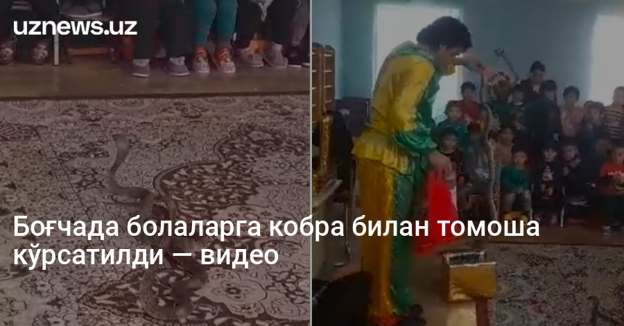 Боғчада болаларга кобра билан томоша кўрсатилди — видео