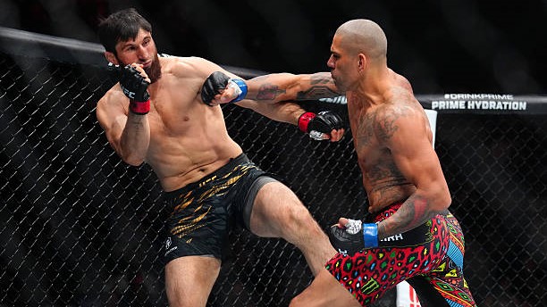 UFC. Перейра Анкалаевни техник нокаутга учратиш учун 1 дақиқа 20 сония етарли бўлди (видео)