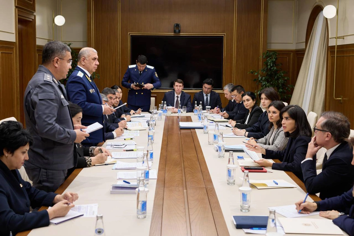 Саида Мирзиёева: «Аёллар ва болалар ҳуқуқларини ҳимоя қилиш қуруқ гапда эмас, балки амалда бўлиши керак»