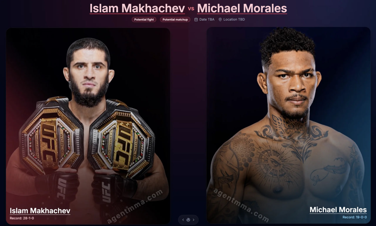 Ислам Махачев навбатдаги жангини кимга қарши ўтказиши мумкинлиги айтилди