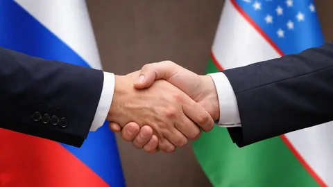 Ўзбекистон ва Россия иссиқлик таъминоти соҳасида ҳамкорликни кенгайтириши мумкин
